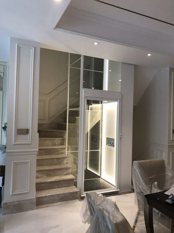 Villa Best Home Platform Lift